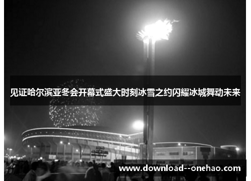 见证哈尔滨亚冬会开幕式盛大时刻冰雪之约闪耀冰城舞动未来