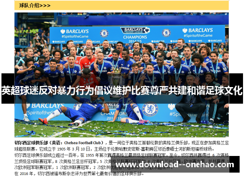 英超球迷反对暴力行为倡议维护比赛尊严共建和谐足球文化