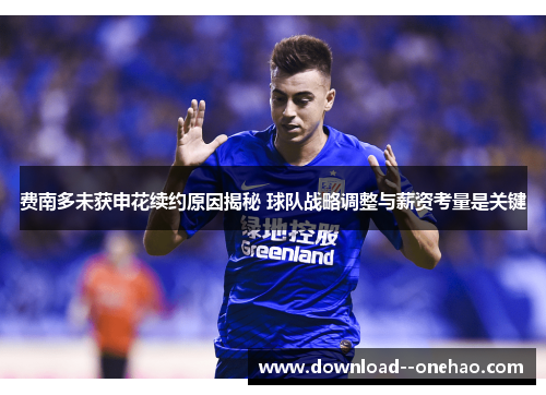 费南多未获申花续约原因揭秘 球队战略调整与薪资考量是关键 费南多未获申花续约原因揭秘 球队战略调整与薪资考量是关键