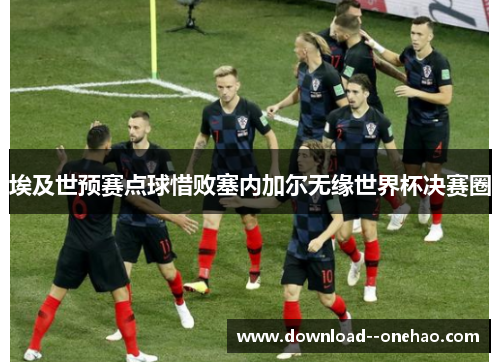 埃及世预赛点球惜败塞内加尔无缘世界杯决赛圈 埃及世预赛点球惜败塞内加尔无缘世界杯决赛圈